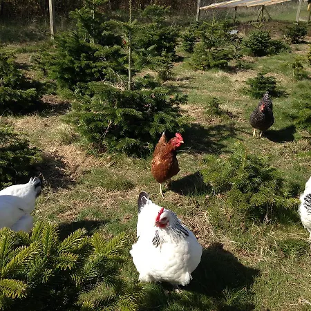 Jensens Nocleg ze śniadaniem Egtved