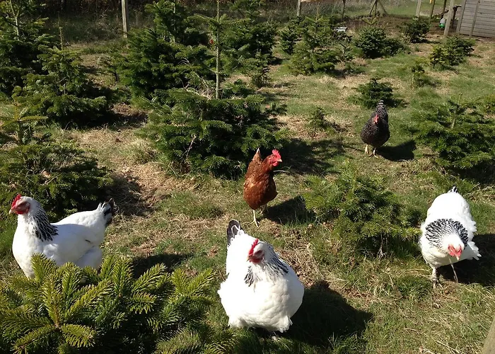 Jensens Panzió Egtved